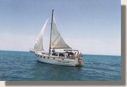 Sailboat